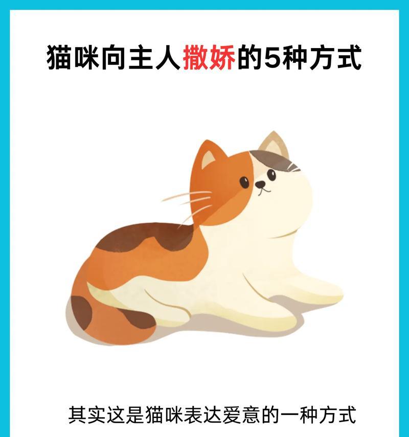 猫咪撒娇秘籍——如何让关在屋内的猫咪也能享受亲人的陪伴（——猫咪，撒娇，关起来）