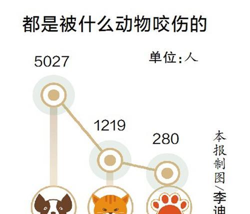 藏獒脱毛预防指南（保护宠物健康，减少脱毛困扰）