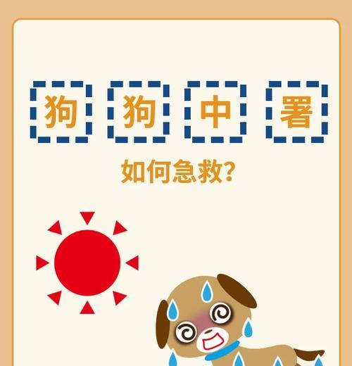 狗中暑应急救治方法详解（宠物主人必备，救命大法！）