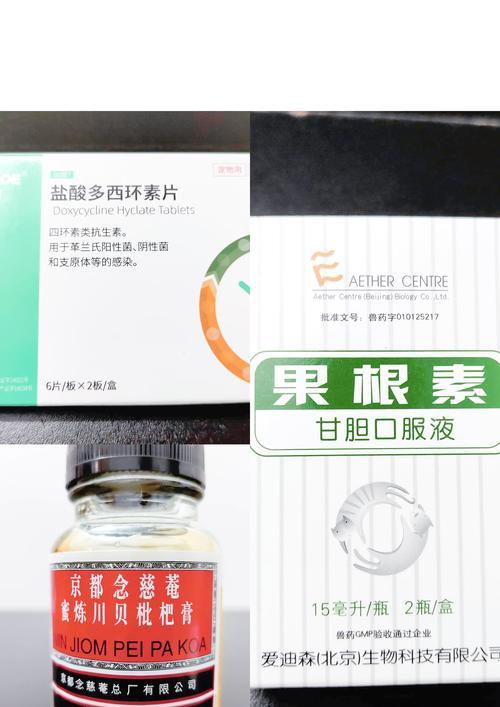 小狗打完疫苗后咳嗽该如何处理？（宠物主人必看，小狗咳嗽的治疗和预防措施）