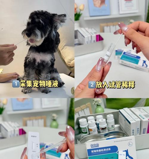 猫咪的狂犬病危害大（了解猫咪的狂犬病，关爱宠物健康）