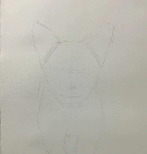 小毛球变身高富帅——教你如何修剪柯基特殊部位的毛发（突显优点，让你的柯基成为街头焦点）