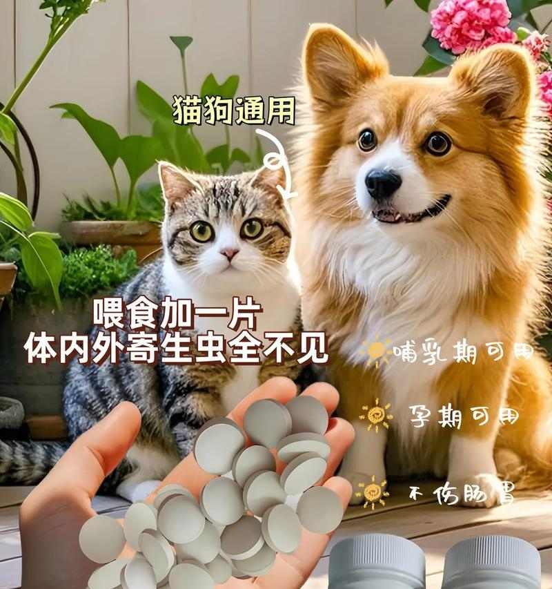宠物猫咪驱虫指南（为爱猫排除蛔虫、跳蚤等寄生虫的危害）