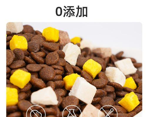 如何为三个月大的博美狗泡食（精选狗粮和正确泡法，让宠物更健康）