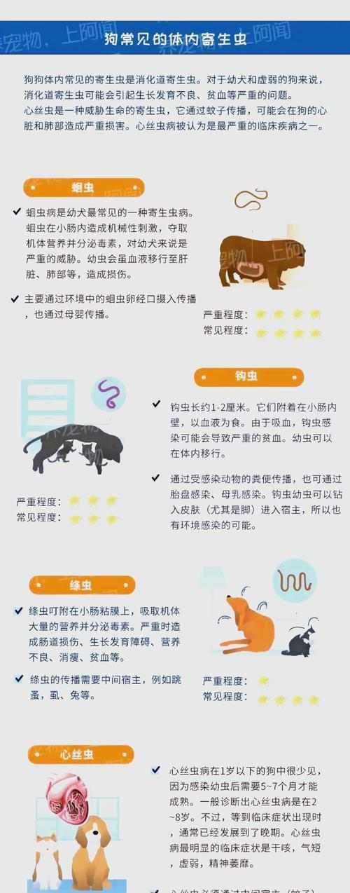 小狗拉虫子很长怎么办？（打虫、保洁、饮食调理三大方面助你解决问题）