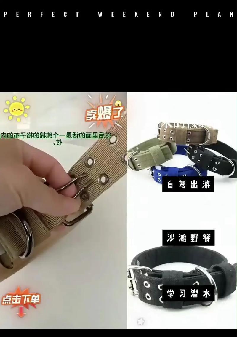 如何正确给宠物狗戴项圈？（为你的爱犬做好这些准备！）