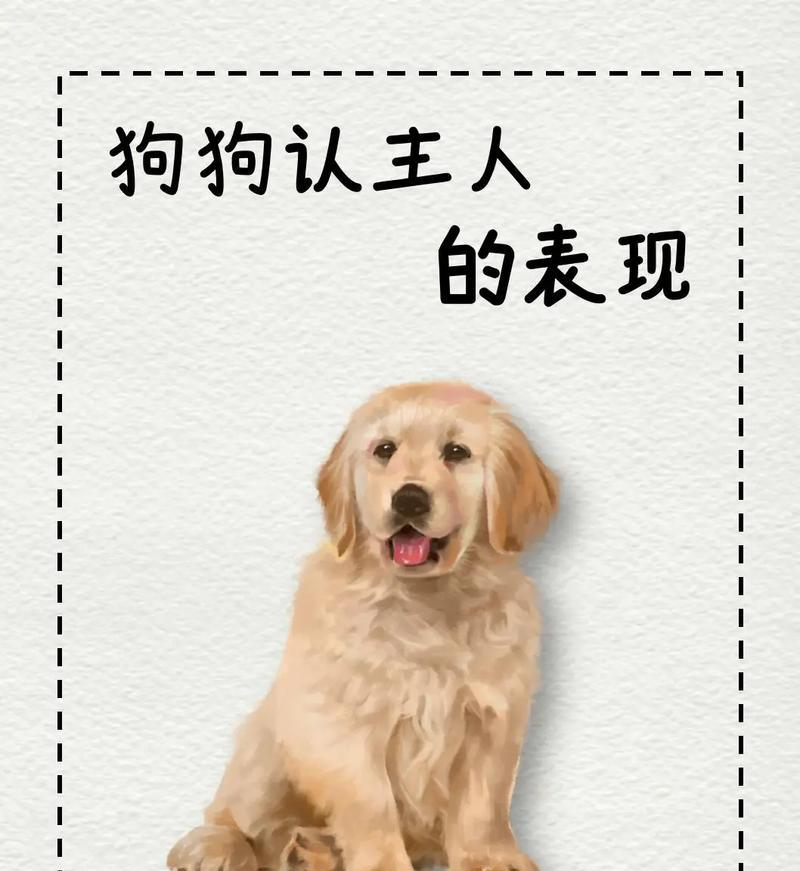 小狗为什么会摇尾巴？（揭秘小狗摇尾巴的真正含义）