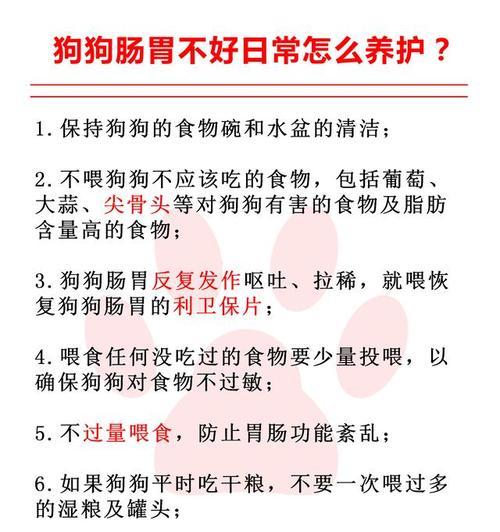 如何为有肠胃问题的狗狗选择合适的食物？（一份详细的饮食指南让你的狗狗肠胃健康）