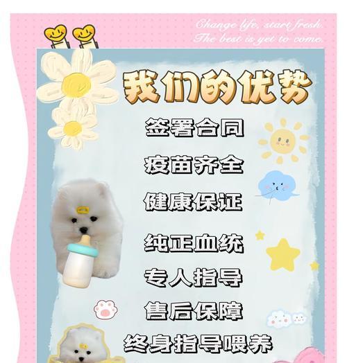 如何正确喂养约克夏犬（3个注意事项让你的约克夏犬健康快乐）