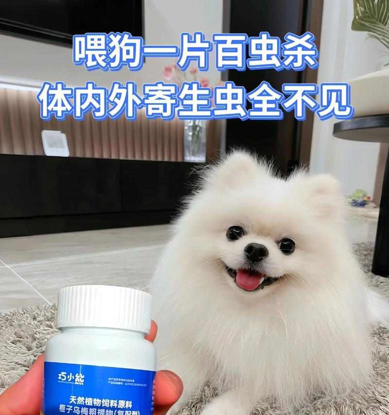 法斗宠物驱虫的时间间隔选择（了解法斗体内外驱虫的最佳频率）