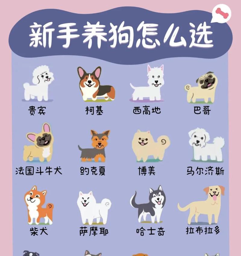 中国独有的狗品种（探索中国独特的狗类遗产）