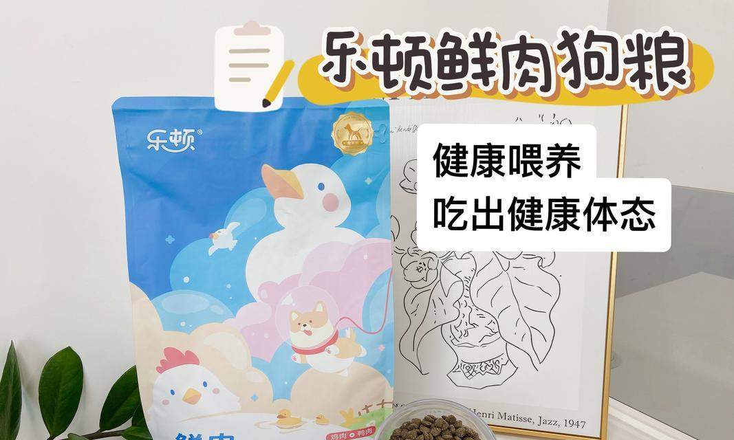 狗狗何时适合以干狗粮为主食（探索合适的喂养时间和食物过渡方法）