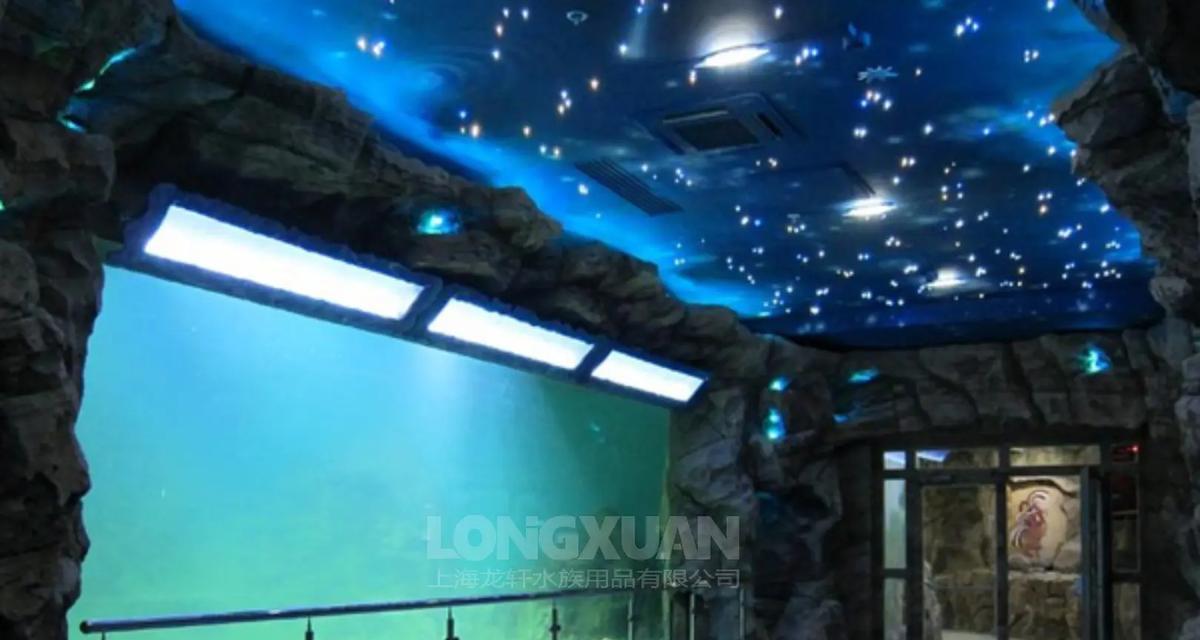 鱼缸清理（饲养水族宠物，从鱼缸清洁开始）