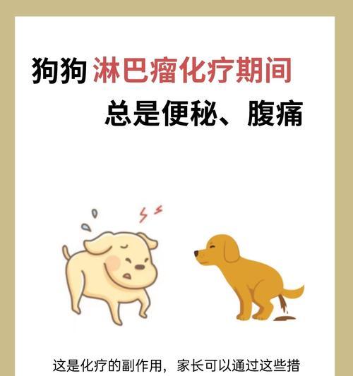 狗吃老鼠药后的生命倒计时（老鼠药中的毒性对狗的影响及危害）