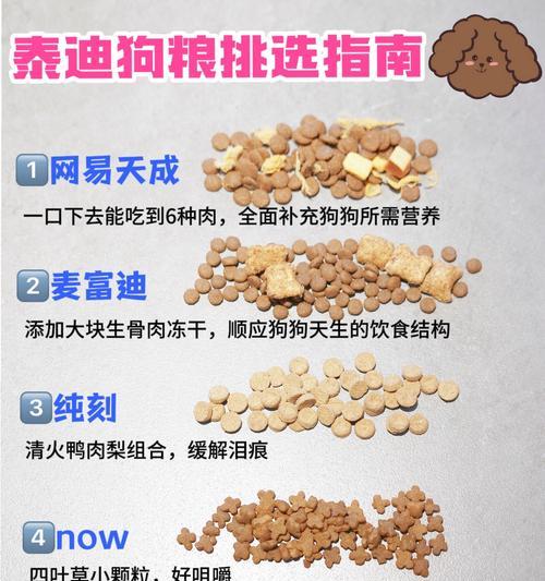 泰迪犬的生育周期及注意事项（掌握泰迪犬的繁殖节奏，让它们健康快乐地生育）