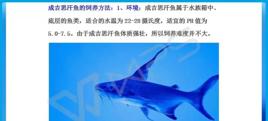 探究以成吉思汗鱼养护的水质需求（水质养护对成吉思汗鱼健康的重要性及养护周期）