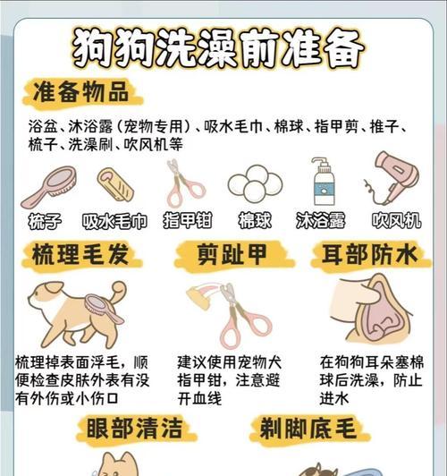 幼犬感冒后洗澡的时间安排（幼犬感冒恢复期如何正确洗澡？）