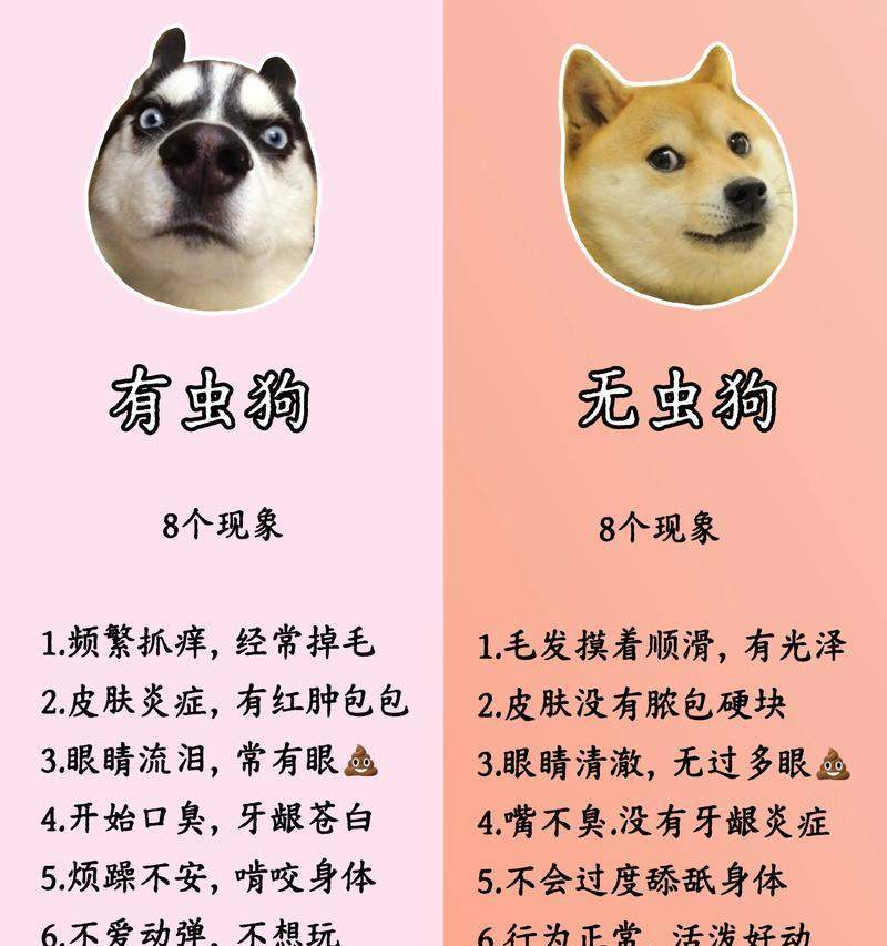 四个月大的狗狗需要多久驱虫一次？（关于狗狗驱虫频率的重要指南）