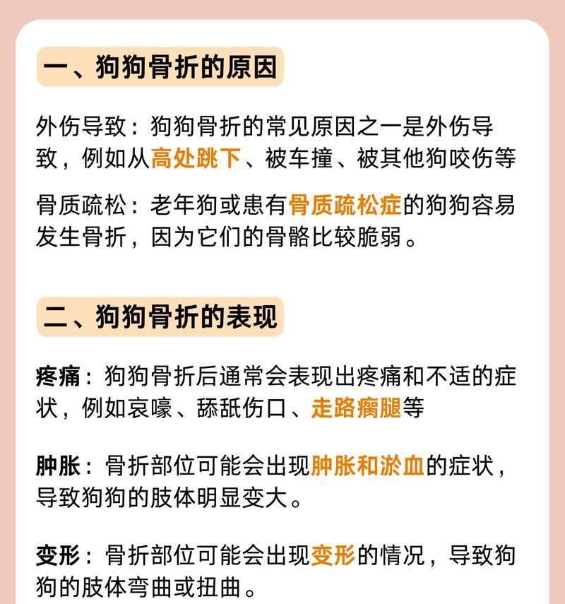 成年狗后腿骨裂恢复期（解析成年狗后腿骨裂的康复时间和注意事项）