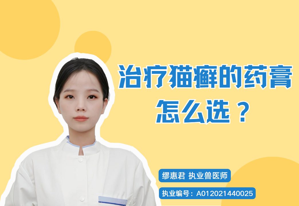 治疗猫癣的药膏不知道怎么选？这些都很牛！