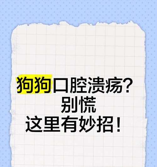 狗狗口腔溃疡（关注狗狗口腔健康，避免溃疡问题的发生）