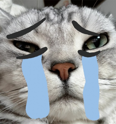 猫耳朵上有癣差点烂了，25天实现逆袭！