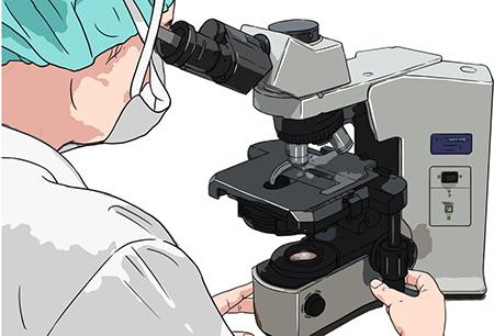 泰迪身上掉毛秃了一块怎么办?