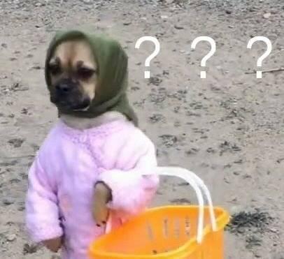 离大谱！谁说的碘伏能治疗狗狗皮肤病啊？？