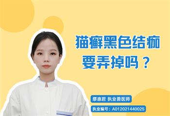 猫癣黑色结痂要弄掉吗？怎么去除？