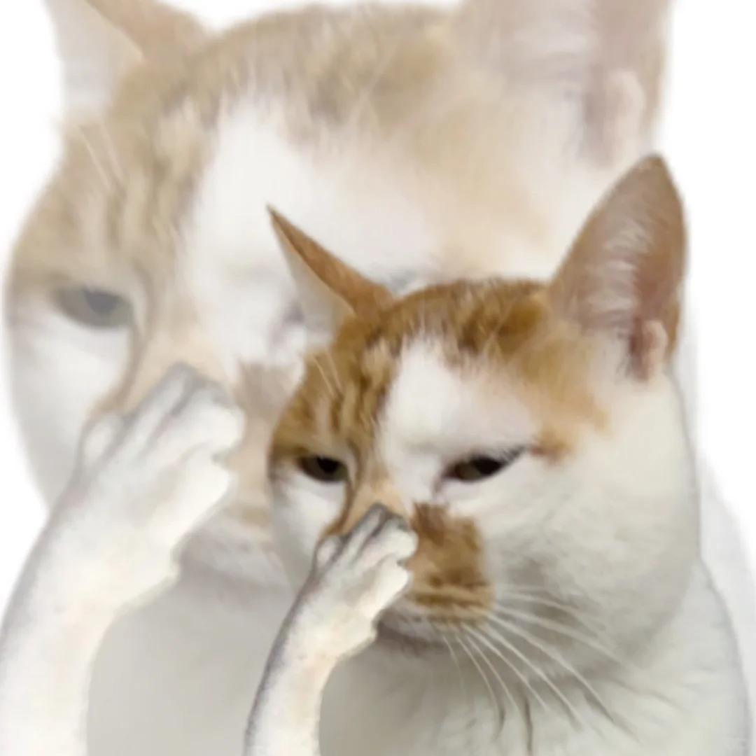 小狗脚掌发红又痒怎么办？这题我会！