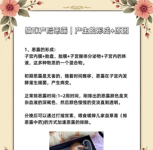小猫产后流血多久？（了解产后出血的持续时间及注意事项）