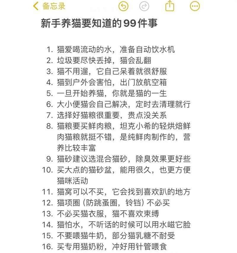 养猫必备指南（养猫需知的全部，面对问题不再无助）