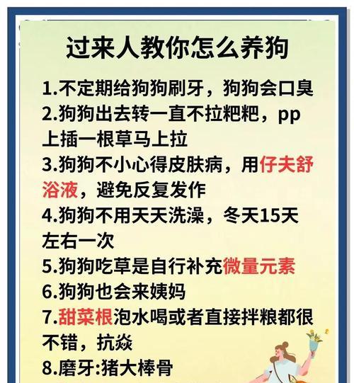 新手饲养者必看！6大饲养禁忌，守护狗狗健康！（新手饲养者收藏！了解这些禁忌，给狗狗更好的生活！）