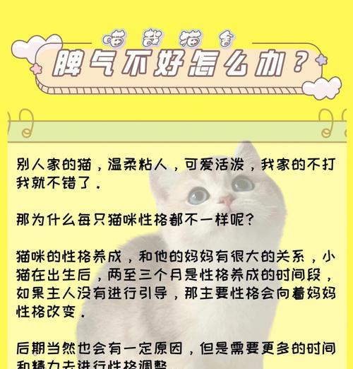 如何教育幼猫正确咬人行为（有效解决幼猫咬人问题的方法）