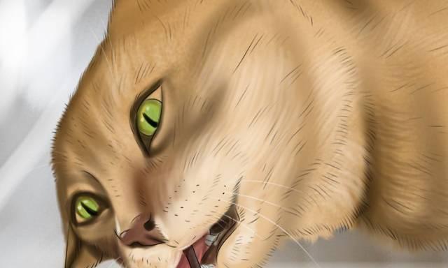 猫鼻子边上的白色分泌物是什么？（揭秘猫鼻子边上白色分泌物的成因及处理方法）