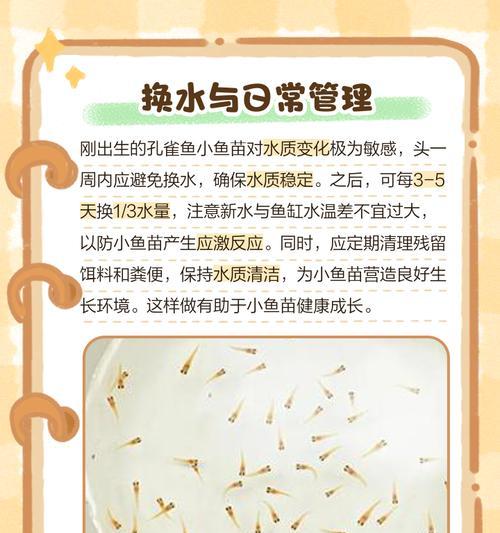热带鱼的喂养秘籍（了解如何喂养小热带鱼的重要技巧）
