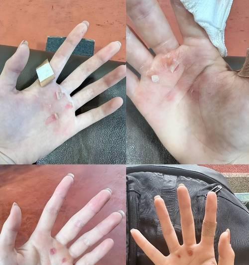 猫的咬力（揭秘猫咬力与手套的神秘关系）