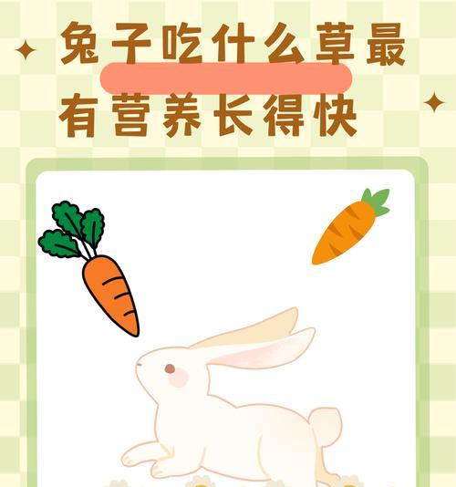 以兔子喂提摩西是否还有必要？（苜蓿草是否仍然是兔子的主要食物？）