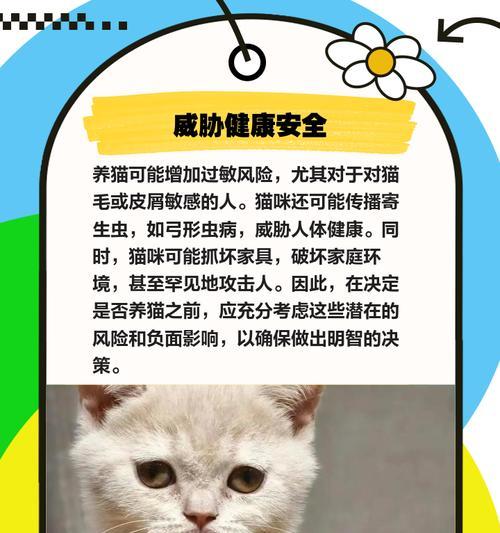 猫的自卫本领——保护自己的技能与智慧（猫的本领与独特能力，如何让它们保护自己）
