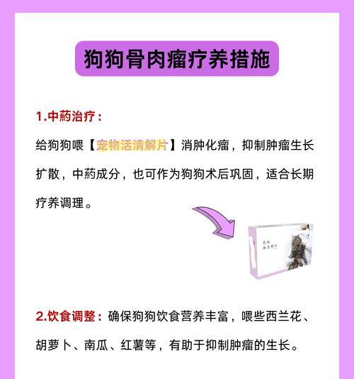 急救狗狗腿伤的方法（保护宠物狗狗的关键在于快速正确的急救）