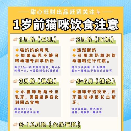 2个月幼猫的饮食需求（幼猫奶粉喂养知识全面解析）