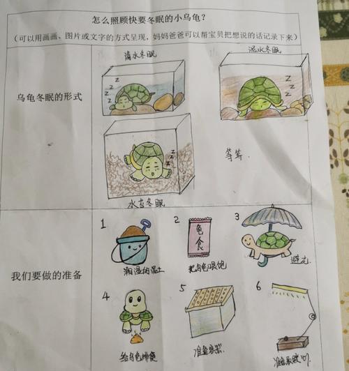 合适的乌龟饲养方法与投喂量（科学饲养乌龟，健康快乐成长）