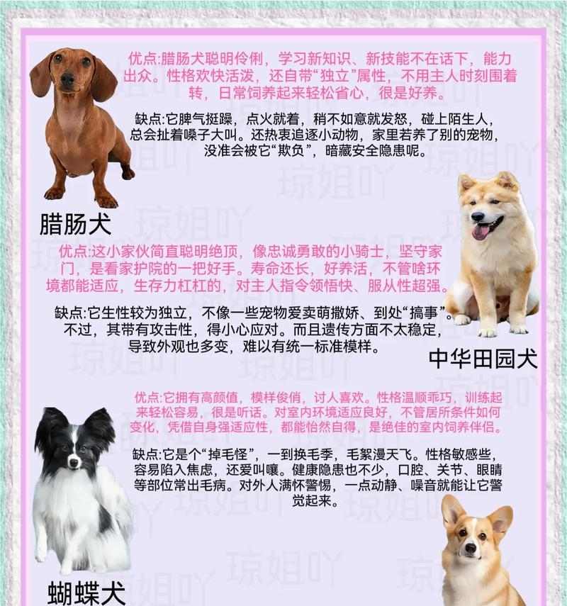 狗属国家二级保护动物——守护伴侣的生命（保护狗类爱护人类）