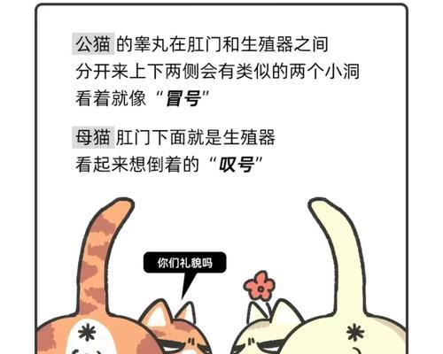 公猫和母猫首次交配能成功吗？（探究公猫和母猫第一次交配的可能性及关键因素）