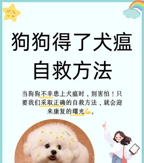 狗瘟细小的检测与防治措施（科学、准确的方法帮助宠物摆脱病痛）