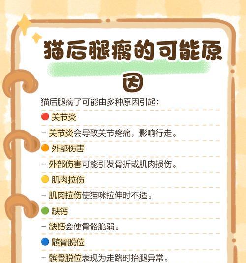 猫咪摔倒时总能用脚着地的科学原理（揭秘猫咪的“天生反摔技能”）