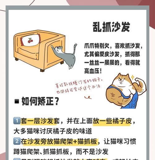 绝育对猫咪的影响（为什么要给猫咪绝育？探讨绝育的利与弊）