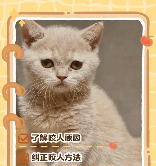 被自家猫咬了怎么办？（猫咬伤的处理方法及预防措施）