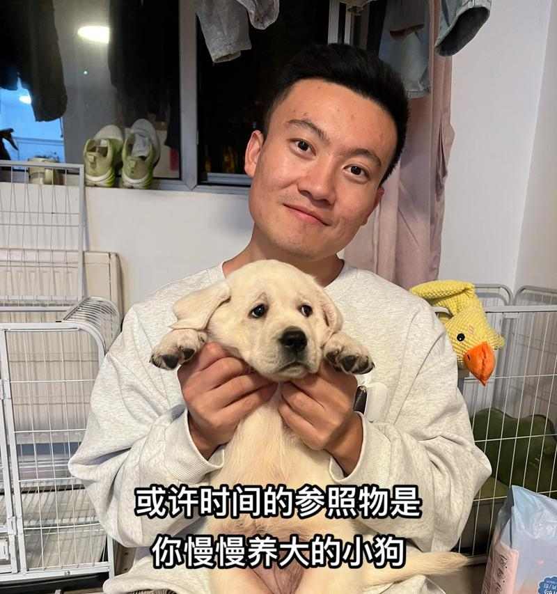 户外养狗指南（探索户外世界，快乐与狗同行）