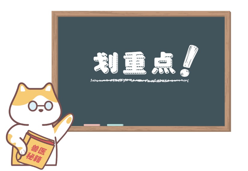 猫咪身上有癣怎么办?